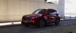 Какие автомобили выгодно везти из Беларуси в Россию в 2026 году: топ-5