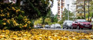Осенний спрос: какие автомобили россияне начали искать после лета