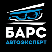 Ооо барс 2. Логотип Барс эксперт. ООО Барс регион. ООО Барс ТВ.
