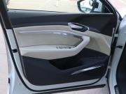Audi e-tron I Санкт-Петербург  - изображение 42