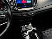 Chery Tiggo 7 I Екатеринбург  - изображение 30