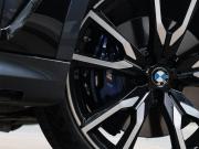 BMW X7 I (G07) Москва  - изображение 48