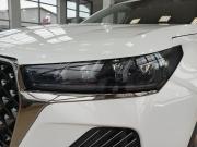 Chery Tiggo 7 Pro Max I Рестайлинг Арзамас  - изображение 40