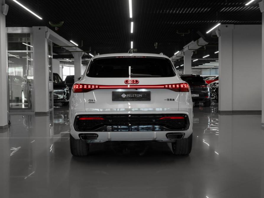Audi Q5 III (GU) Москва  - изображение 6