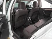 Skoda Octavia III (A7) Воронеж  - изображение 32