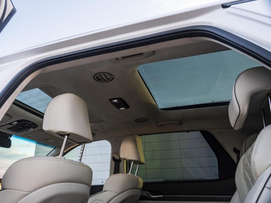 Hyundai Palisade I Москва  - изображение 21