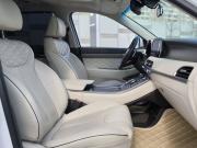Hyundai Palisade I Санкт-Петербург  - изображение 54