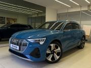Audi e-tron I Новосибирск  - изображение 26
