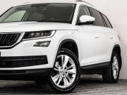 Skoda Kodiaq I Санкт-Петербург  - изображение 30