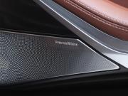 BMW X7 I (G07) Москва  - изображение 58