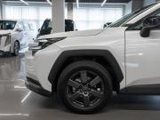 Toyota RAV4 VI (XA60) Москва  - изображение 50