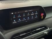 Hyundai Palisade I Рестайлинг Набережные Челны  - изображение 51