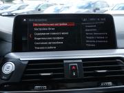 BMW X3 III (G01) Москва  - изображение 43