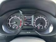 Skoda Octavia III (A7) Рестайлинг Альметьевск  - изображение 26