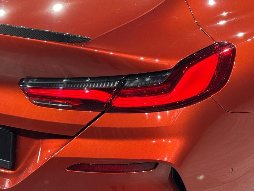 BMW 8 серии II (G14/G15/G16) Иркутск  - изображение 10