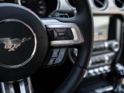 Ford Mustang VI Рестайлинг Сочи  - изображение 54