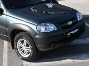Chevrolet Niva I Рестайлинг Волгоград  - изображение 27