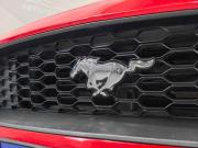 Ford Mustang VI Рестайлинг Новосибирск  - изображение 71