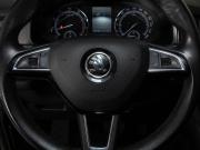 Skoda Kodiaq I Казань  - изображение 28