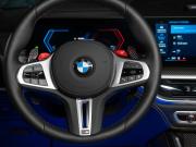 BMW X6 M III (F96) Рестайлинг Москва  - изображение 51