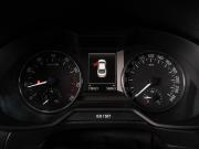 Skoda Octavia III (A7) Тюмень  - изображение 30