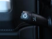 Mercedes-Benz G-Класс III (W465) Рестайлинг Москва  - изображение 58