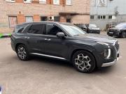 Hyundai Palisade I Санкт-Петербург  - изображение 29