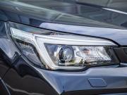 Subaru Forester V Волгоград  - изображение 48
