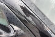 Mazda 3 I (BK) Рестайлинг Нижний Новгород  - изображение 80