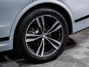 BMW X7 I (G07) Рестайлинг Москва  - изображение 55