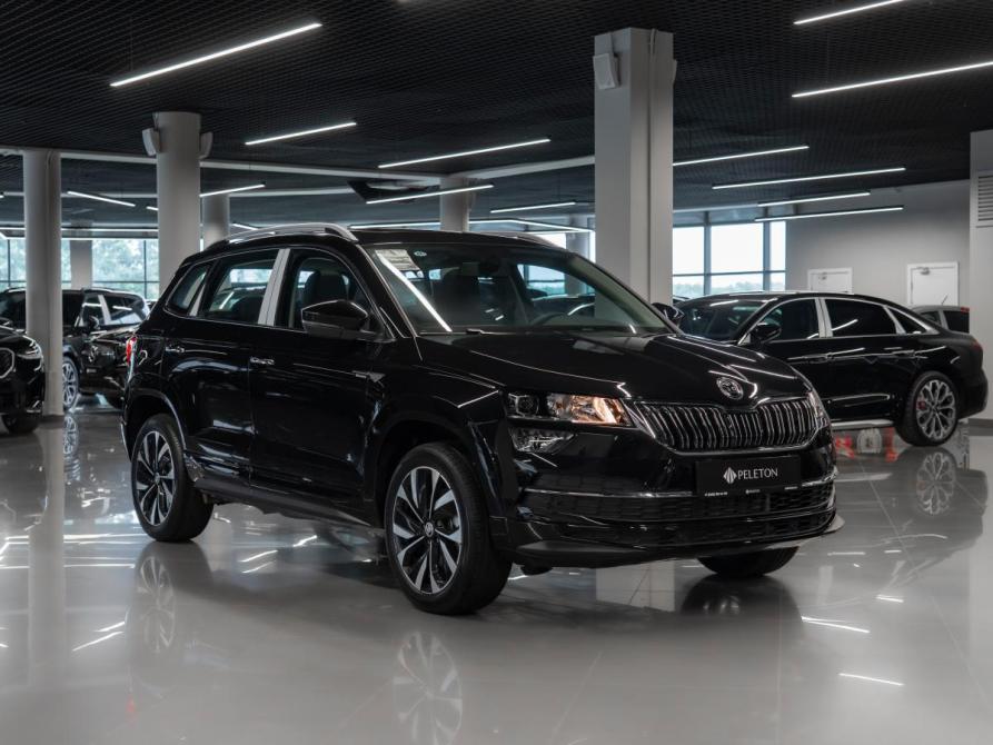 Skoda Karoq I Москва  - изображение 2