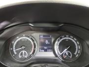 Skoda Kodiaq I Уфа  - изображение 40