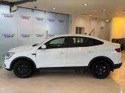 Renault Arkana I Москва  - изображение 25