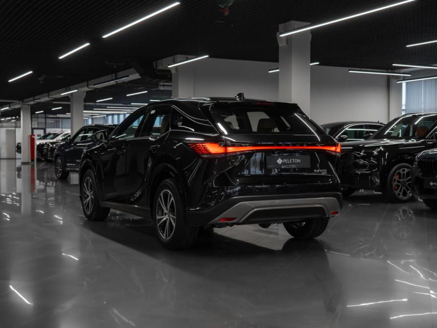 Lexus RX V Москва  - изображение 4