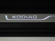 Skoda Kodiaq I Рестайлинг Москва  - изображение 72