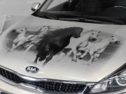 Kia Rio IV Новосибирск  - изображение 52
