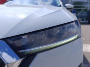 Skoda Octavia IV (A8) Тверь  - изображение 45