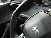 Peugeot 2008 II Владимир  - изображение 39