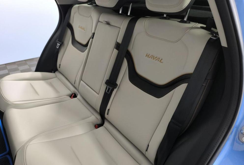 Haval Jolion I Рестайлинг Нижний Новгород  - изображение 13