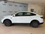 Renault Arkana I Москва  - изображение 25