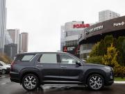 Hyundai Palisade I Москва  - изображение 29