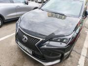 Lexus NX I Санкт-Петербург  - изображение 8