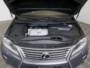 Lexus RX III Рестайлинг Санкт-Петербург  - изображение 34