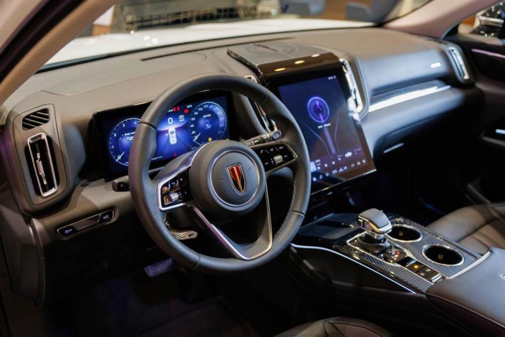 Hongqi HS3 Нижний Новгород  - изображение 10