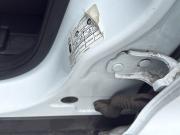 Ford Kuga II Рестайлинг Кемерово  - изображение 54