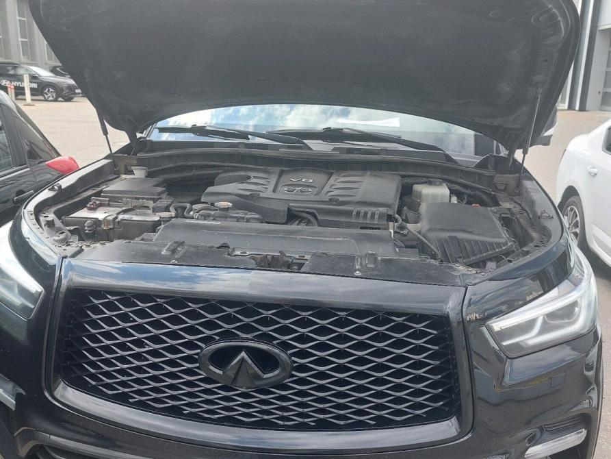 Infiniti QX80 I Рестайлинг 3 Москва  - изображение 2