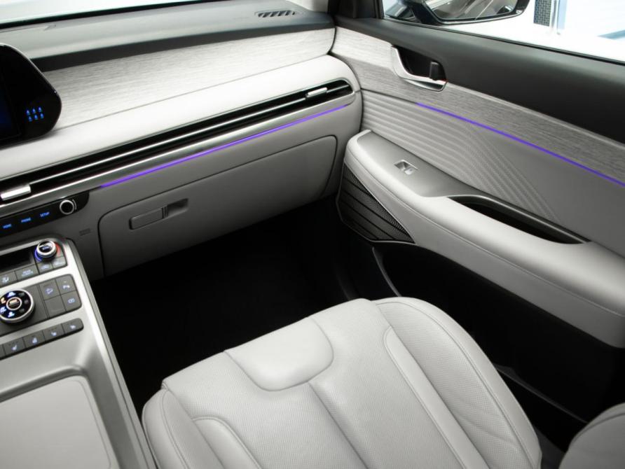 Hyundai Palisade I Рестайлинг Москва  - изображение 23