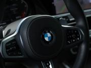 BMW X7 I (G07) Москва  - изображение 83