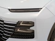 JETOUR DASHING I Москва  - изображение 47