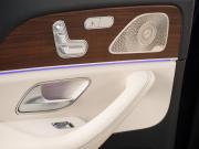 Mercedes-Benz GLS II (X167) Минеральные Воды  - изображение 58